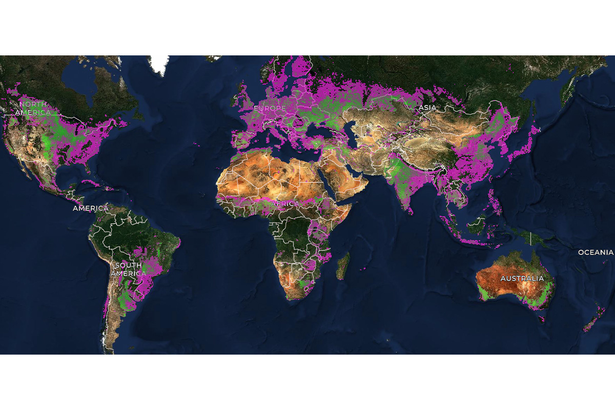 Nathan Jacobs in McKelvey Engineering was part of a collaboration of academic and industry researchers who developed a model of every agricultural field boundary worldwide. (Credit: Taylor Geospatial) 