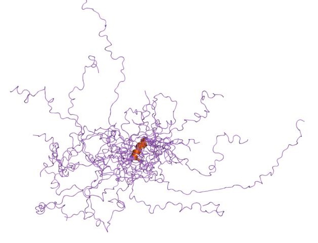 A cartoon representation of an intrinsically disordered protein (Image created by the European Bioinformatics Institute)