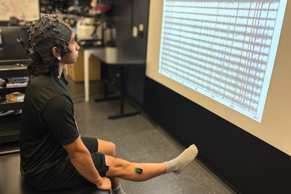 brain wave decoder