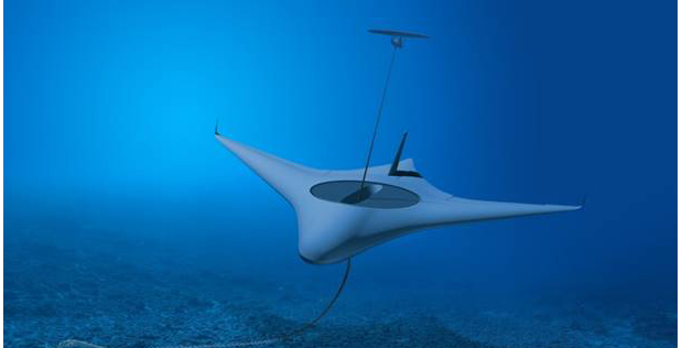 manta-ray.jpg